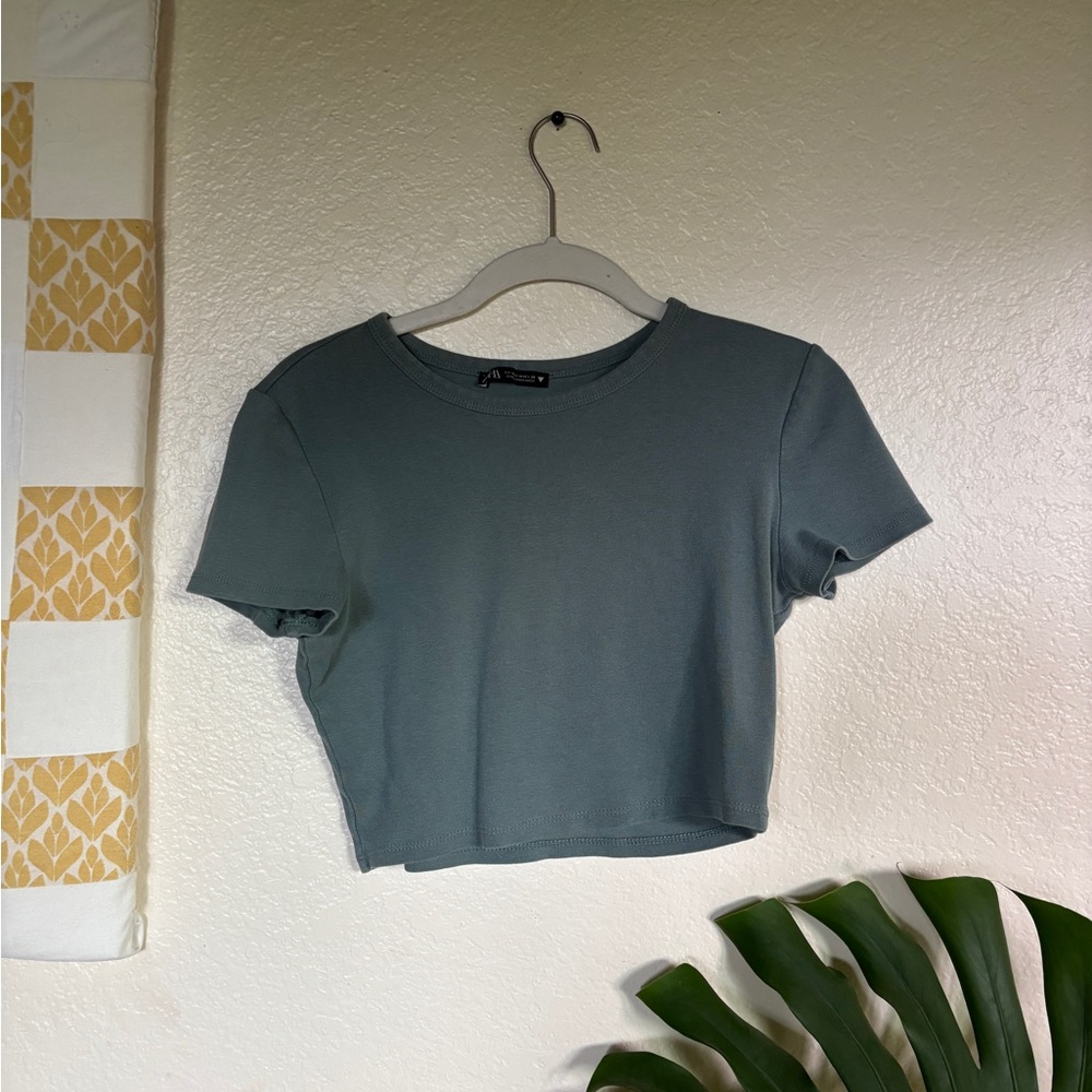 Zara crop top